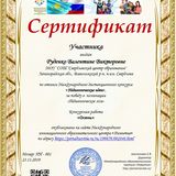 Образец Сертификата участника