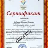 Сертификат участника конференции
