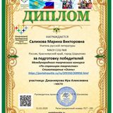 ДИПЛОМ педагогу