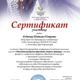 Сертификат участника конференции