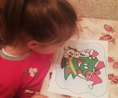 Первушина Н.Н.